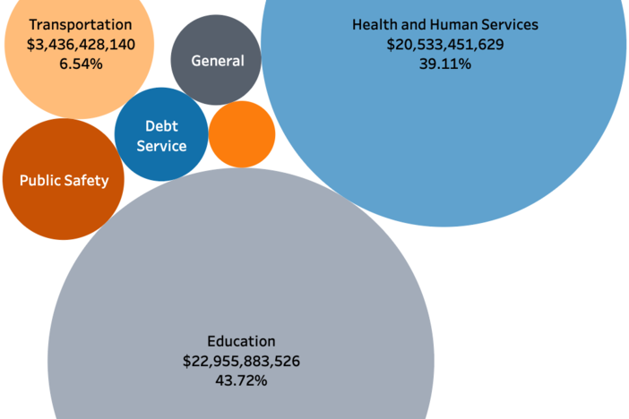 A bubble chart visualizing budgets in categories including "Health and Human Services," "Education," "Transportation," "Public Safety," "Debt Service," and "General."